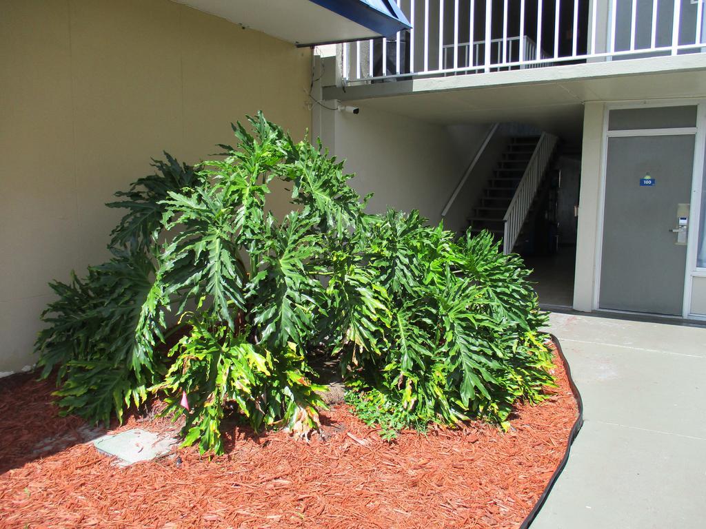 Days Inn By Wyndham Titusville Kennedy Space Center Экстерьер фото
